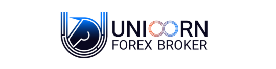 UNFXB Review 2025