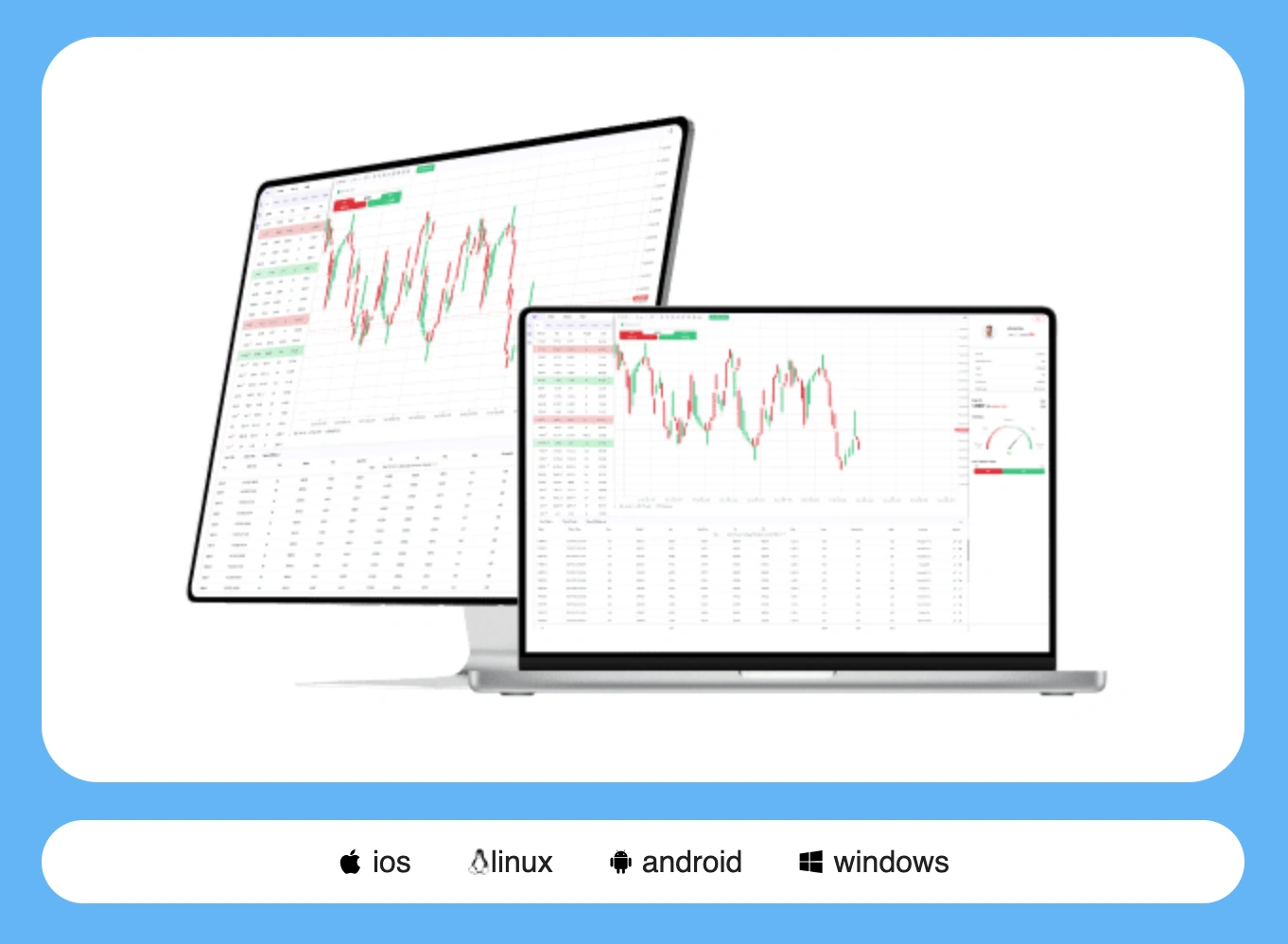 AllPips platform